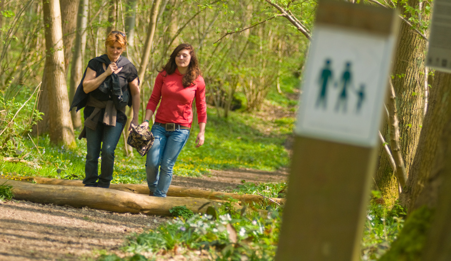 Wandelaars in het bos