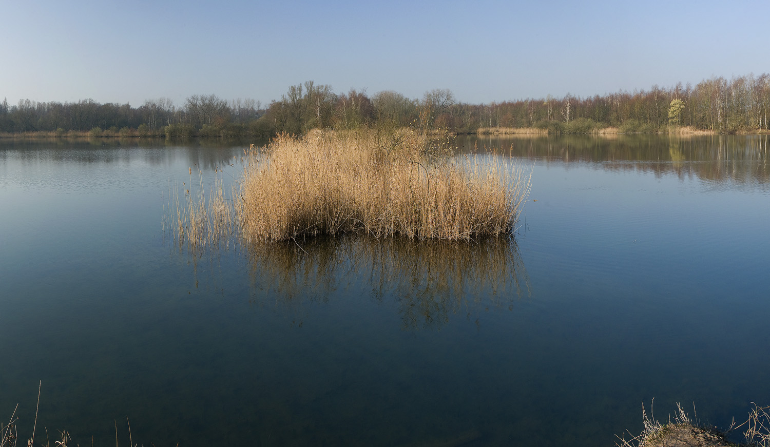 Landschapsbeeld vijver