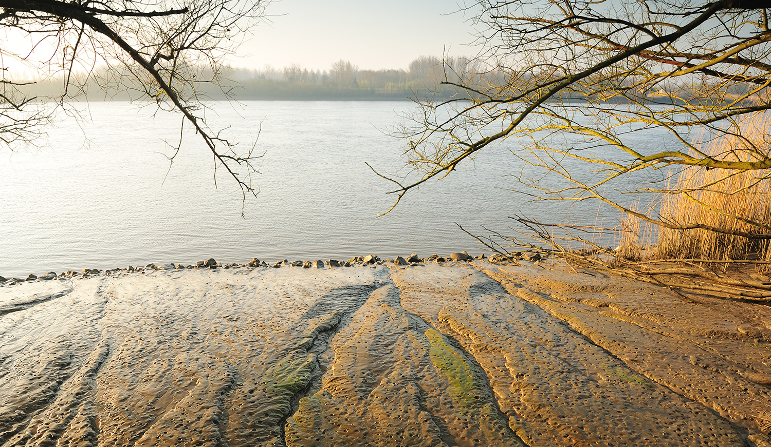 De Schelde