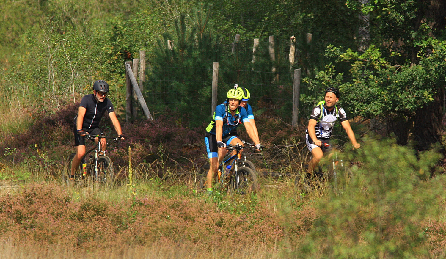 Mountainbikers