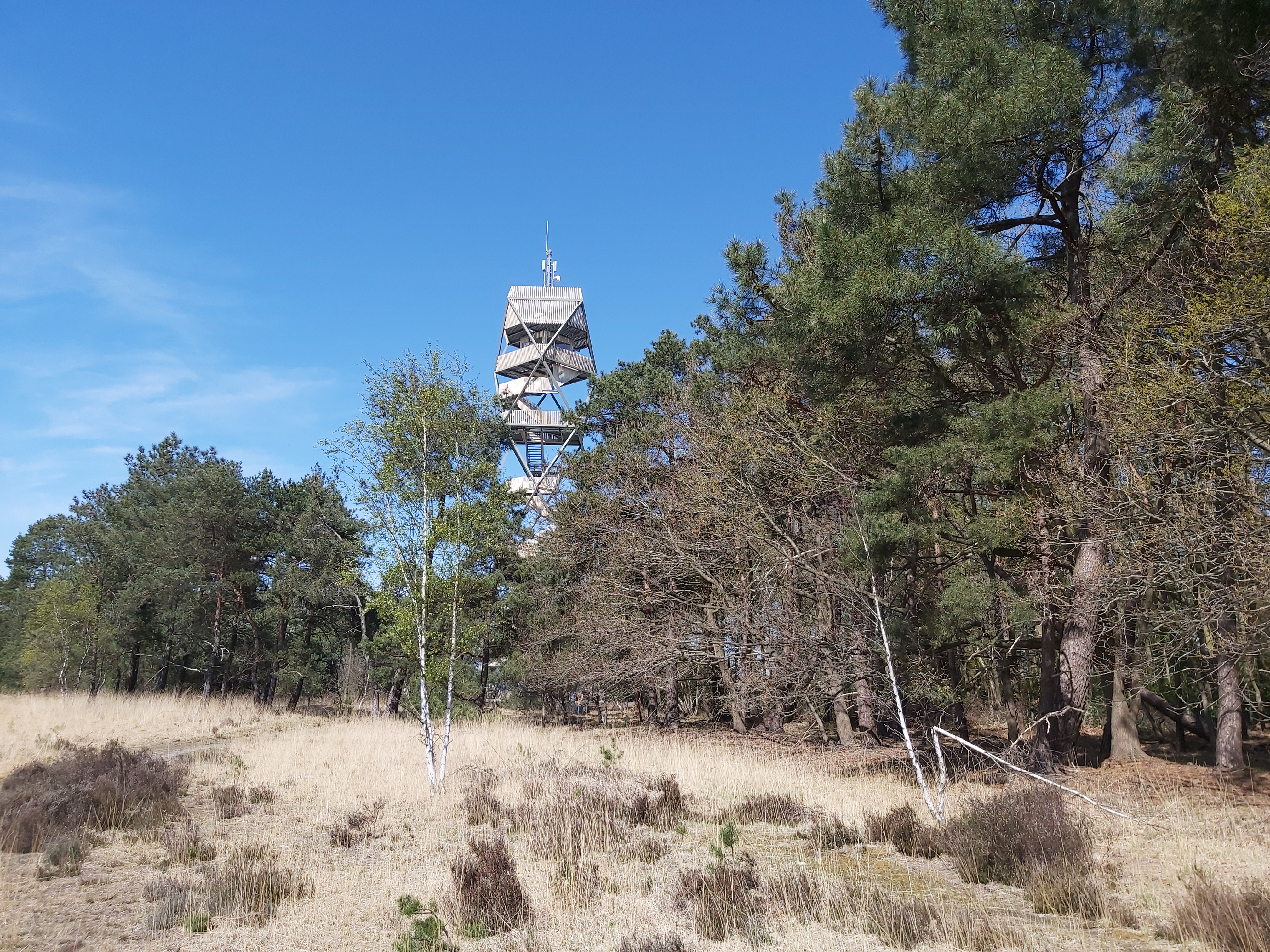 De Brandtoren