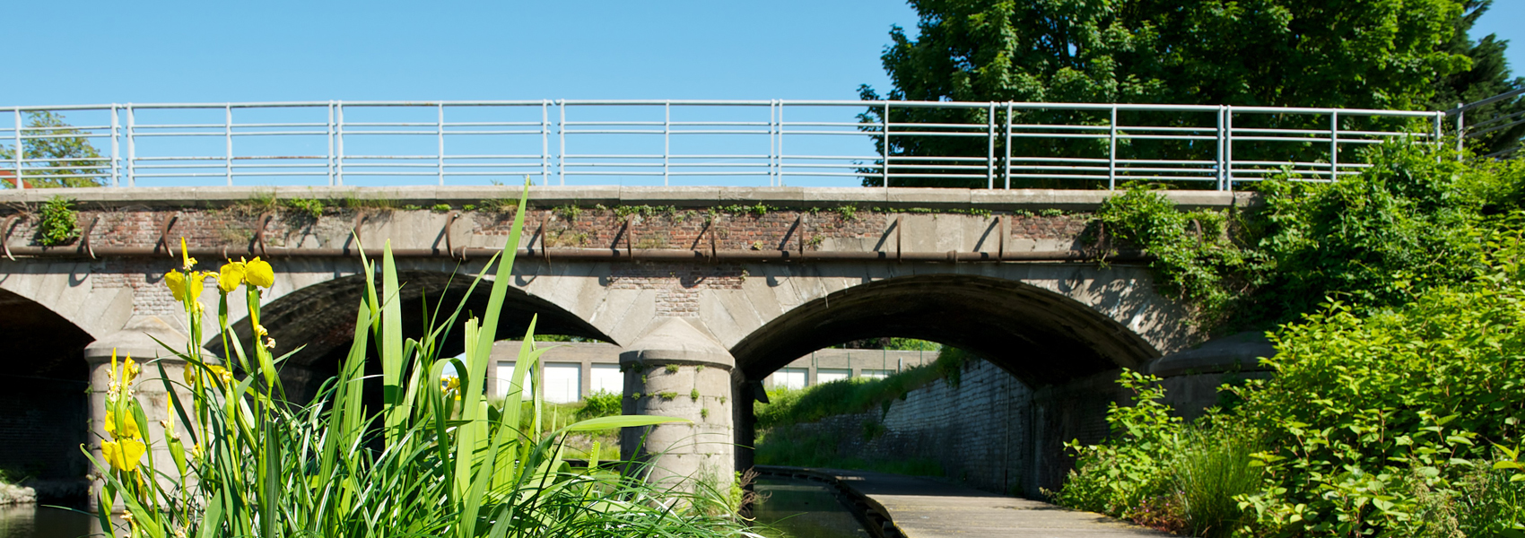 Brug over het water, met groen