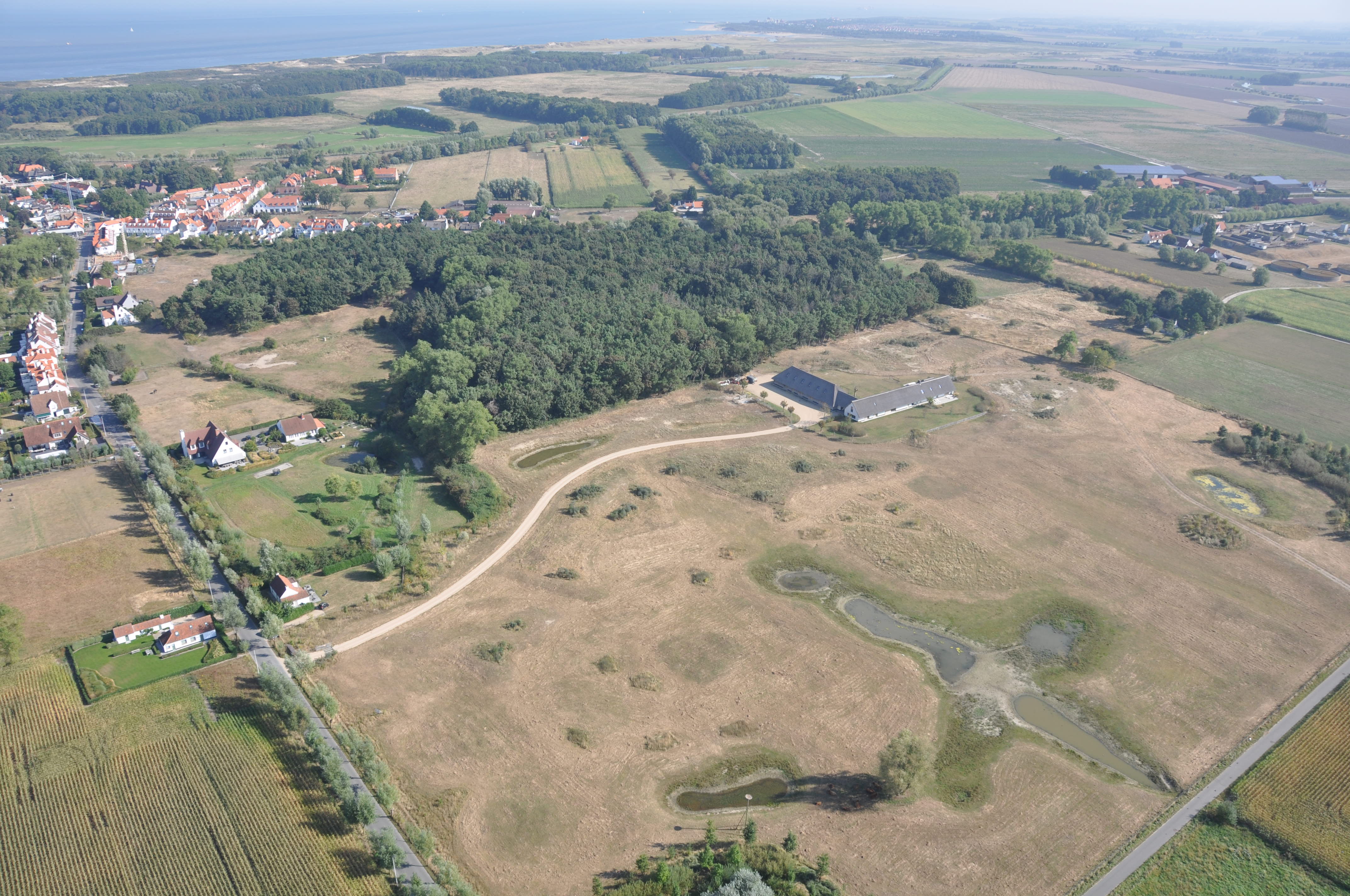 Binnenduinen