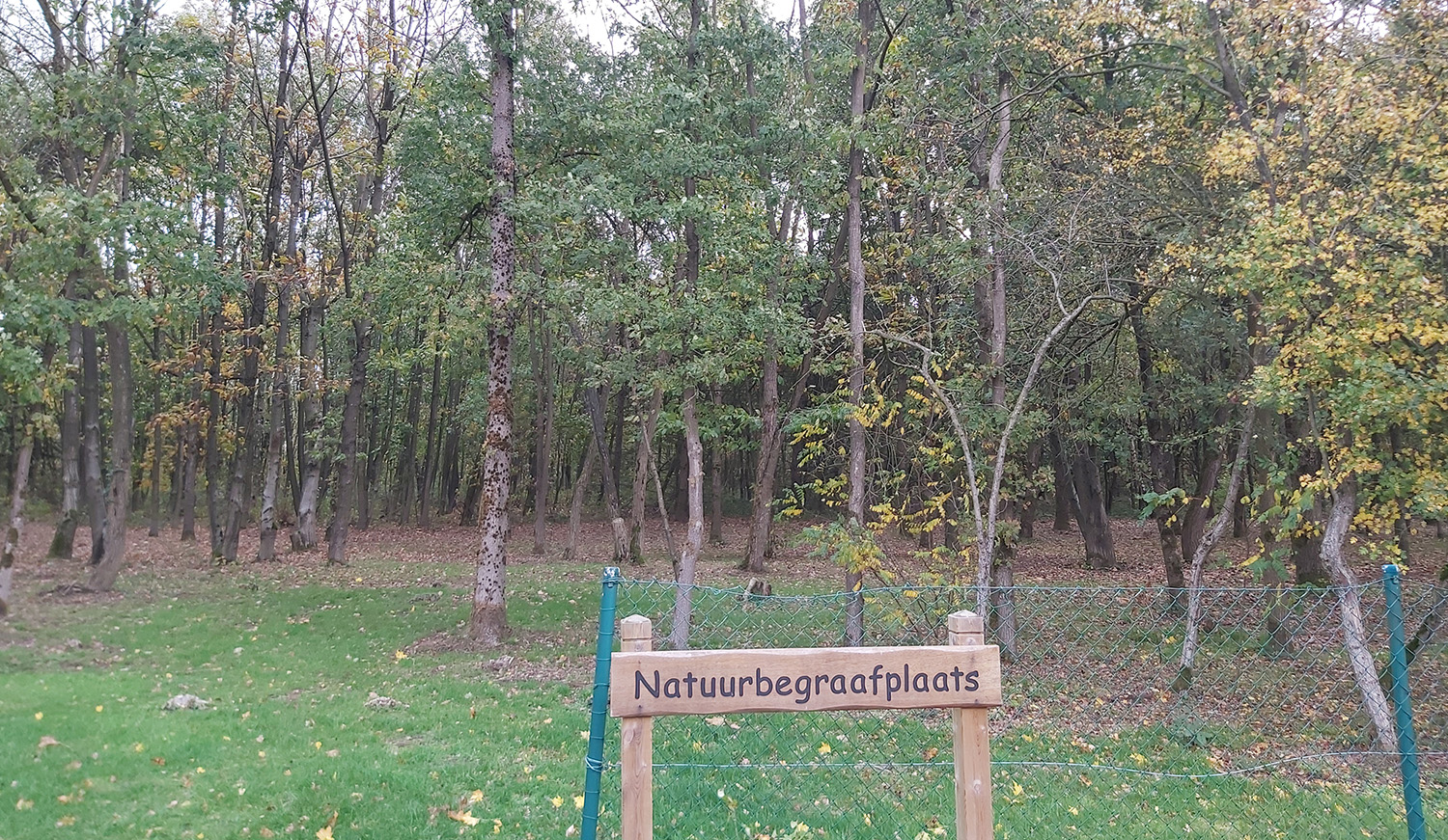 Natuurbegraafplek