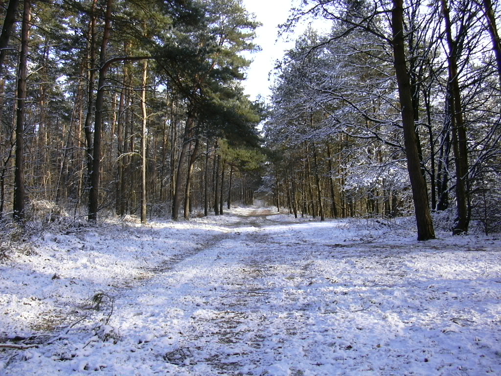 Nationaal Park Hoge Kempen © Karel Flipkens