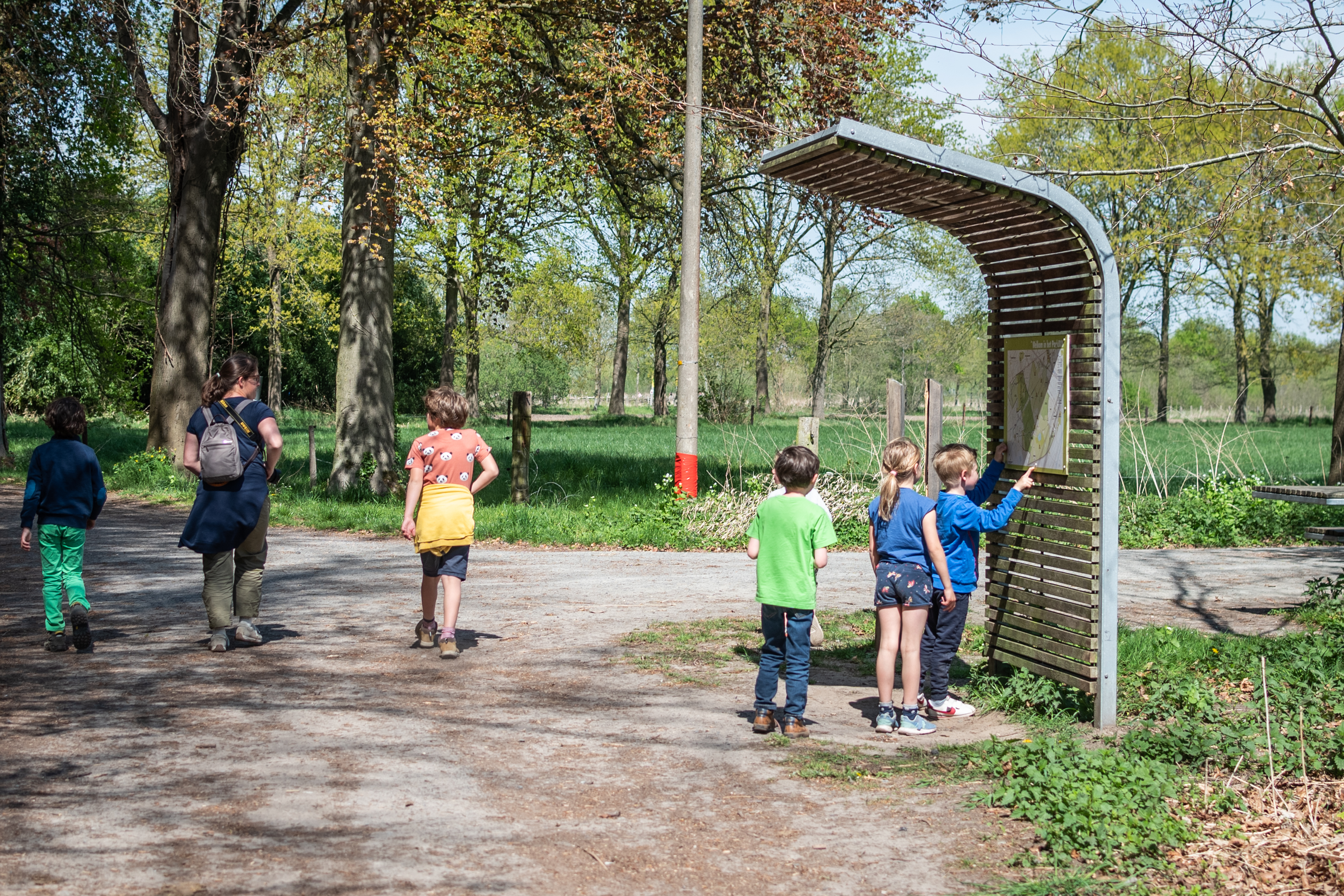 Parkbos