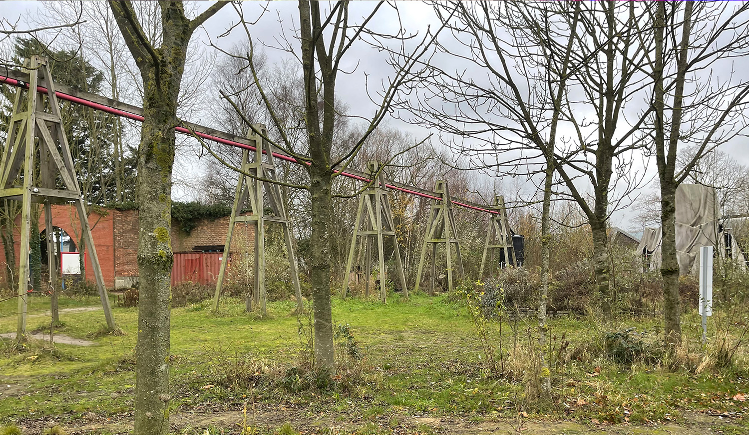 Stedelijke natuur