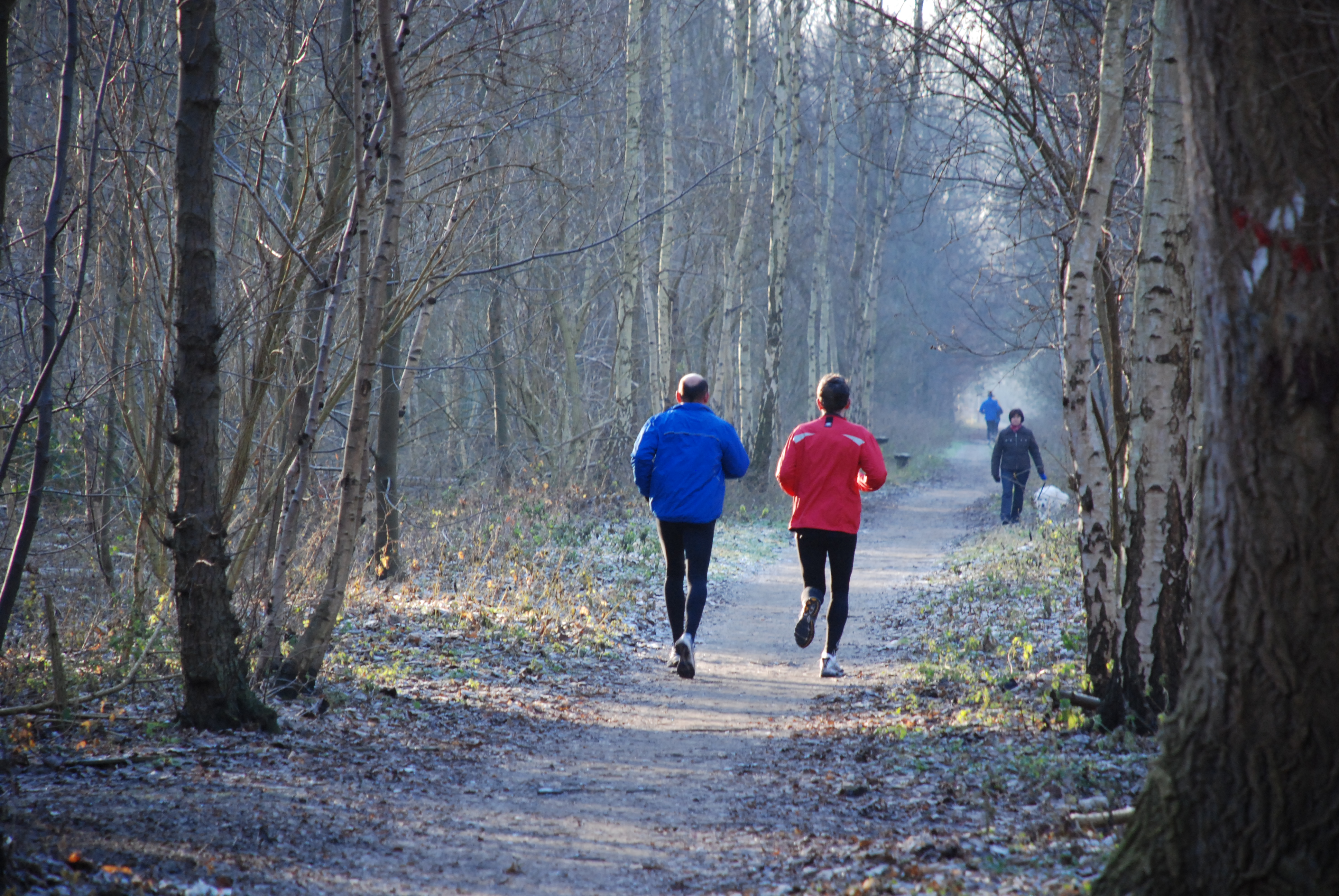 Lopers in Vlietbos