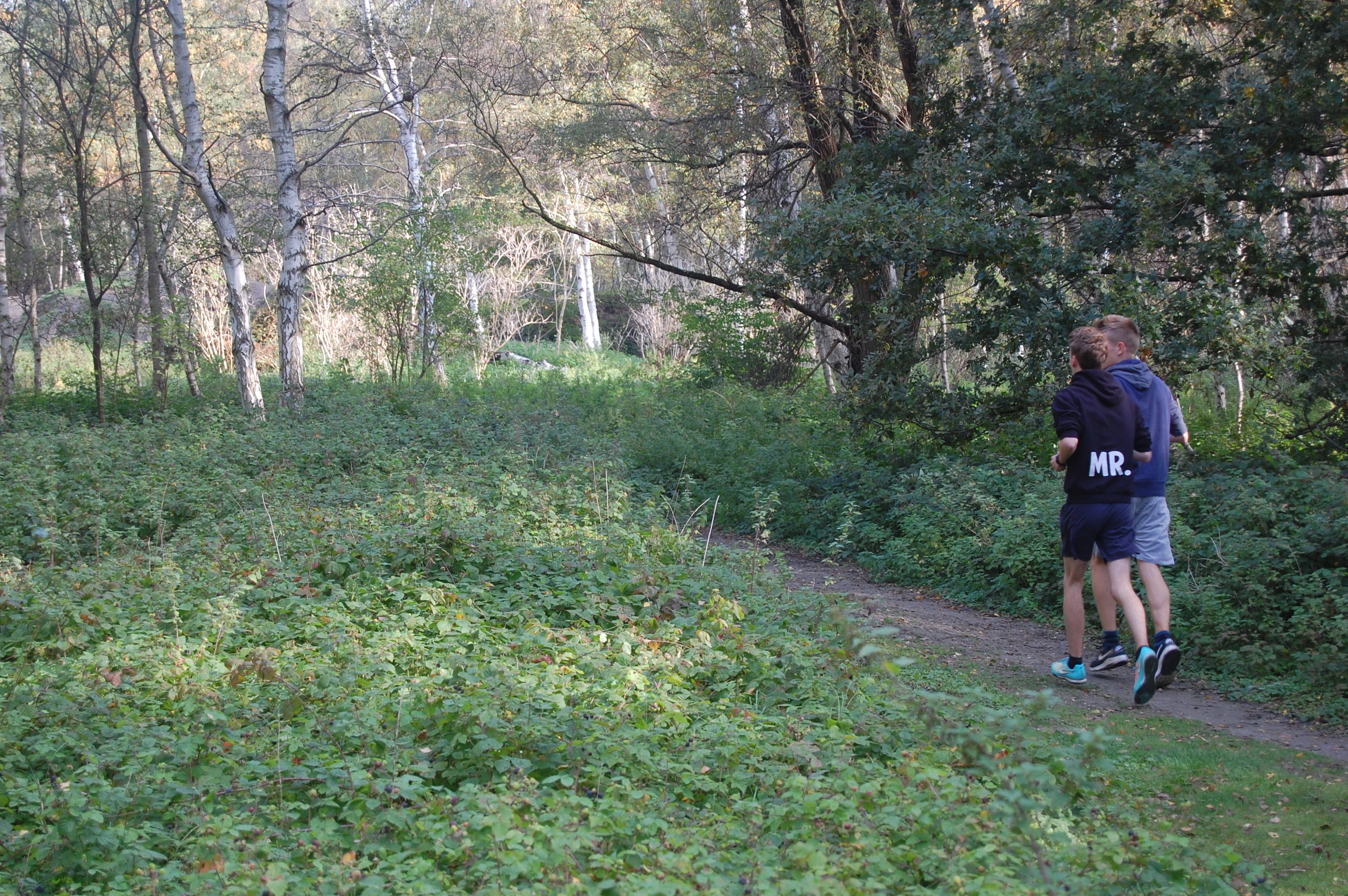 Lopers in Vlietbos