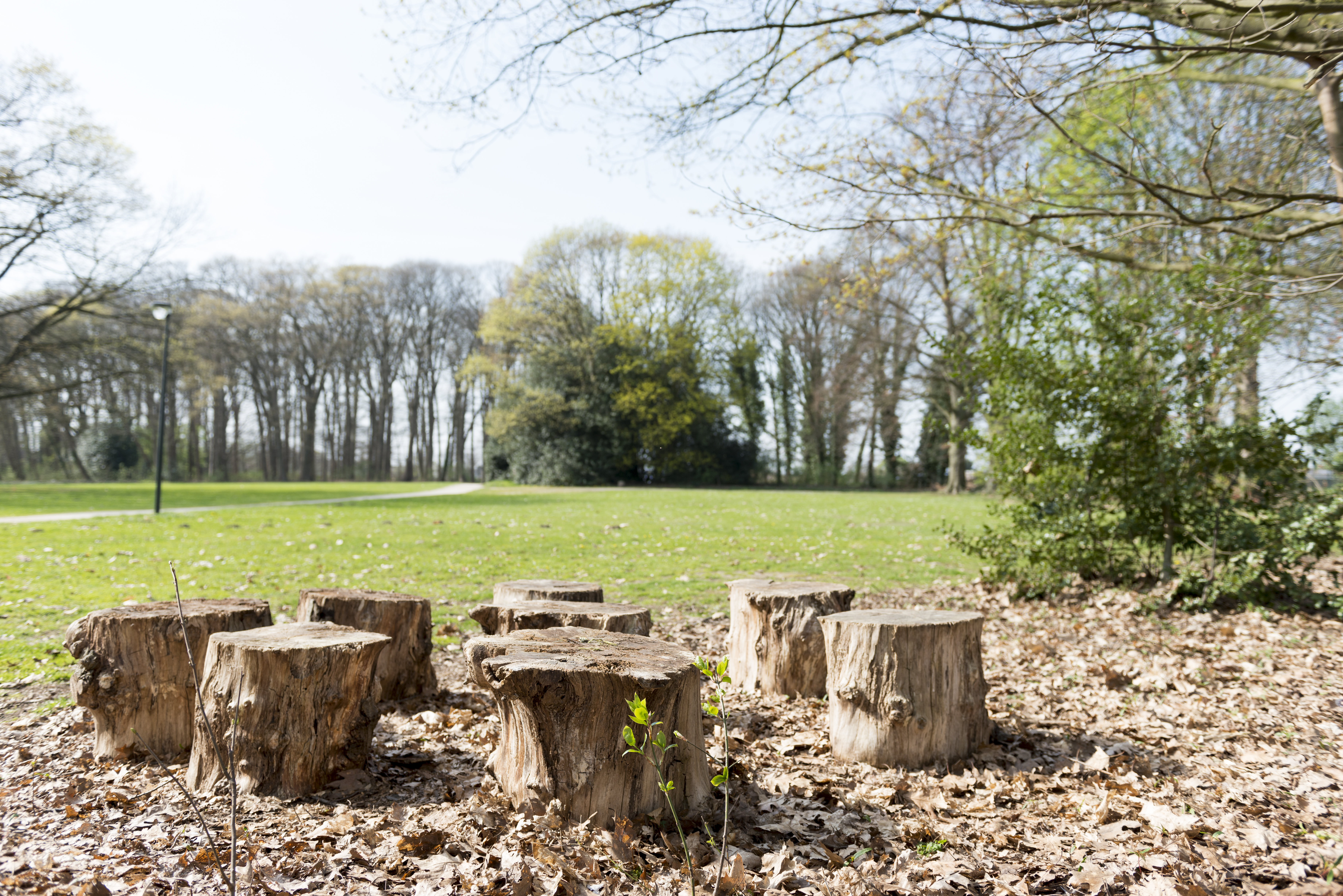 Dilsen Park Ter Motten