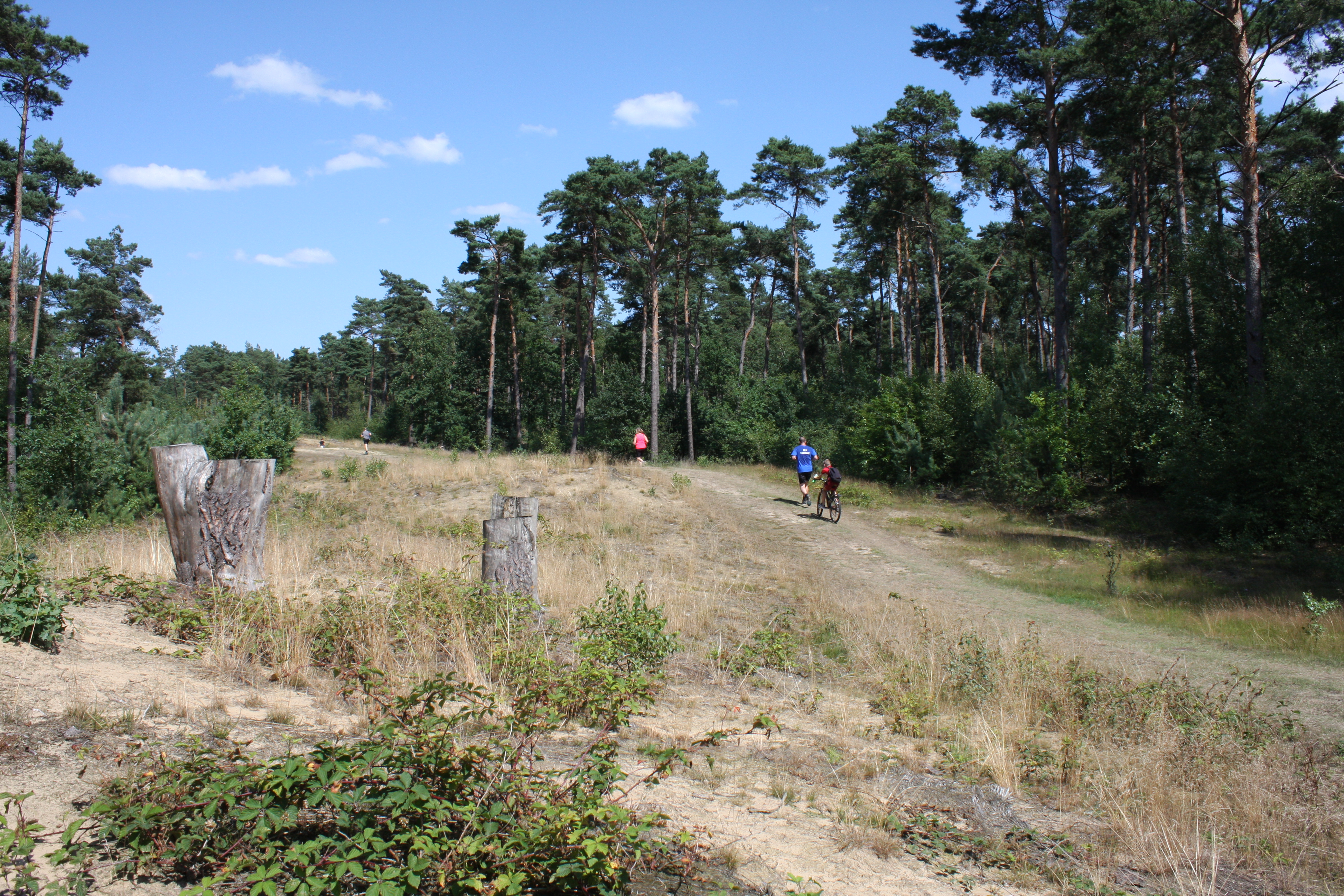 natuurloop in Hoge Rielen