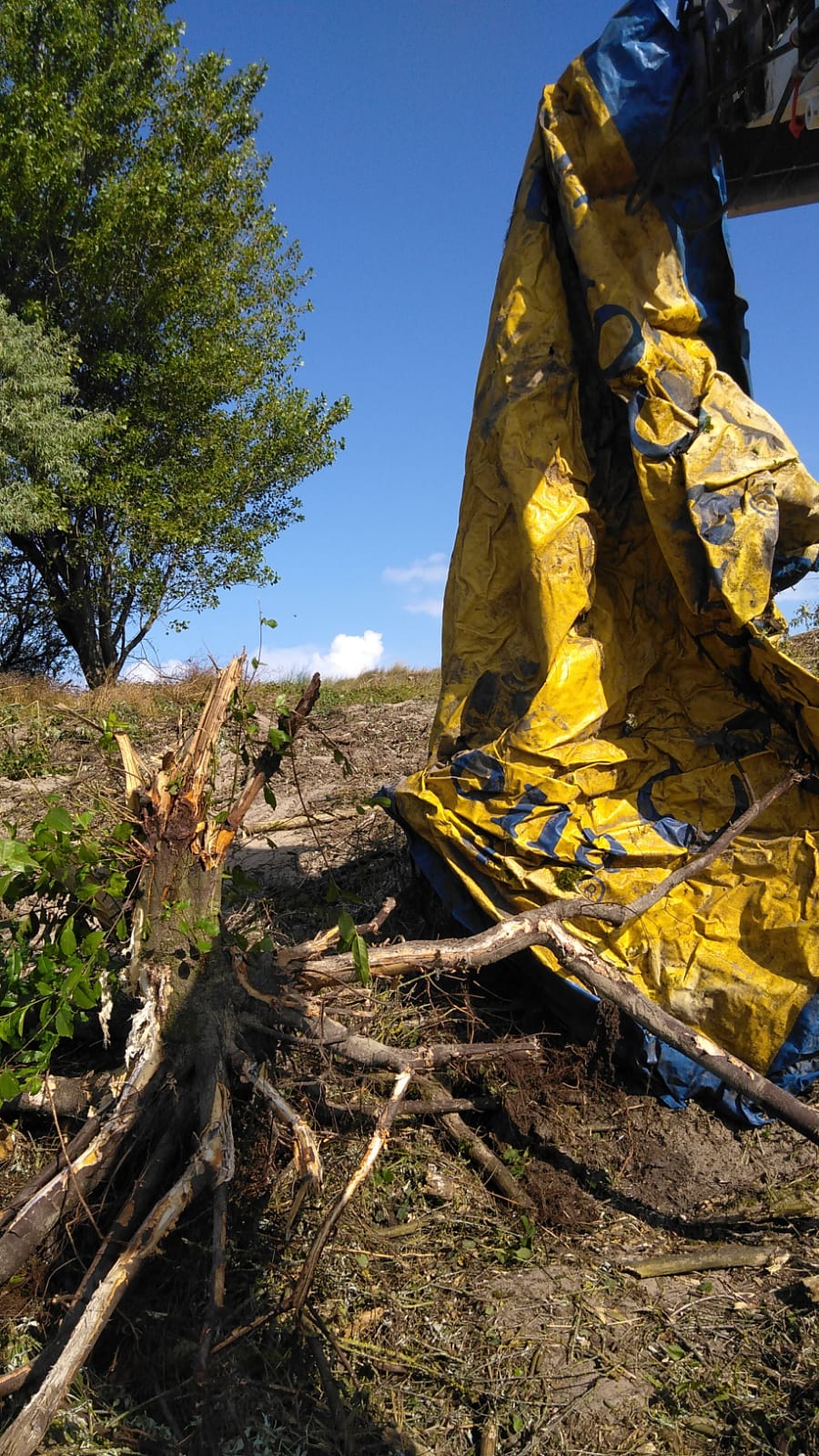 Groot tentzeil en paarse valies teruggevonden door de LIFE DUNIAS-natuurpuntploeg tijdens hun werkzaamheden. © Hans Claes - Natuurpunt