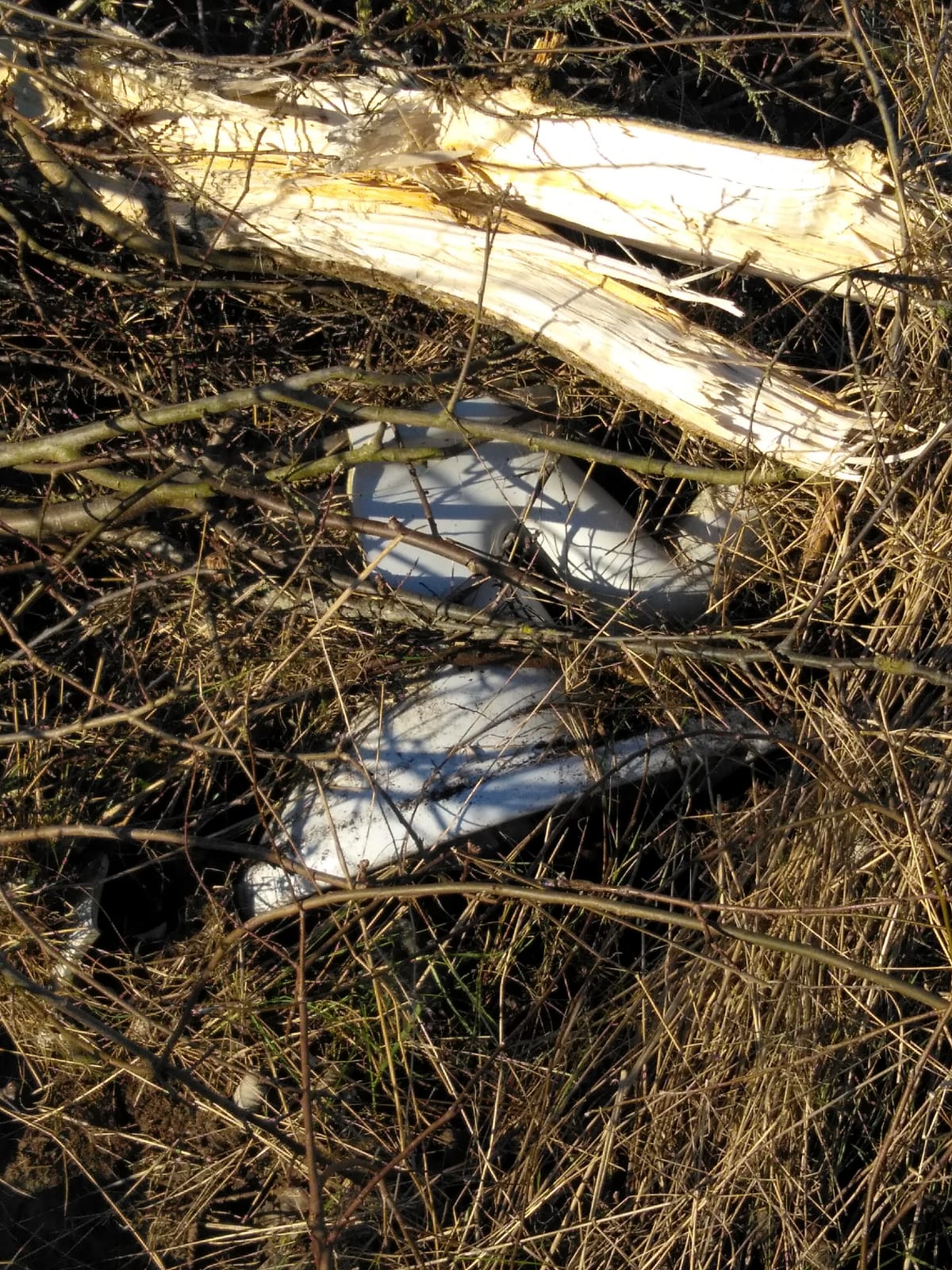 Allerlei afval dat gevonden, verzameld en afgevoerd werd tijdens de werkzaamheden. © Hans Claes - Natuurpunt