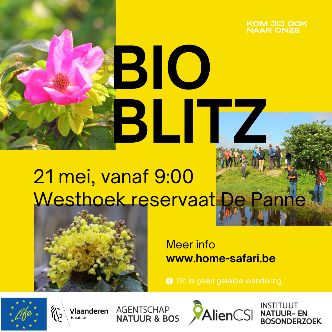 Bioblitz LIFE DUNIAS 2022