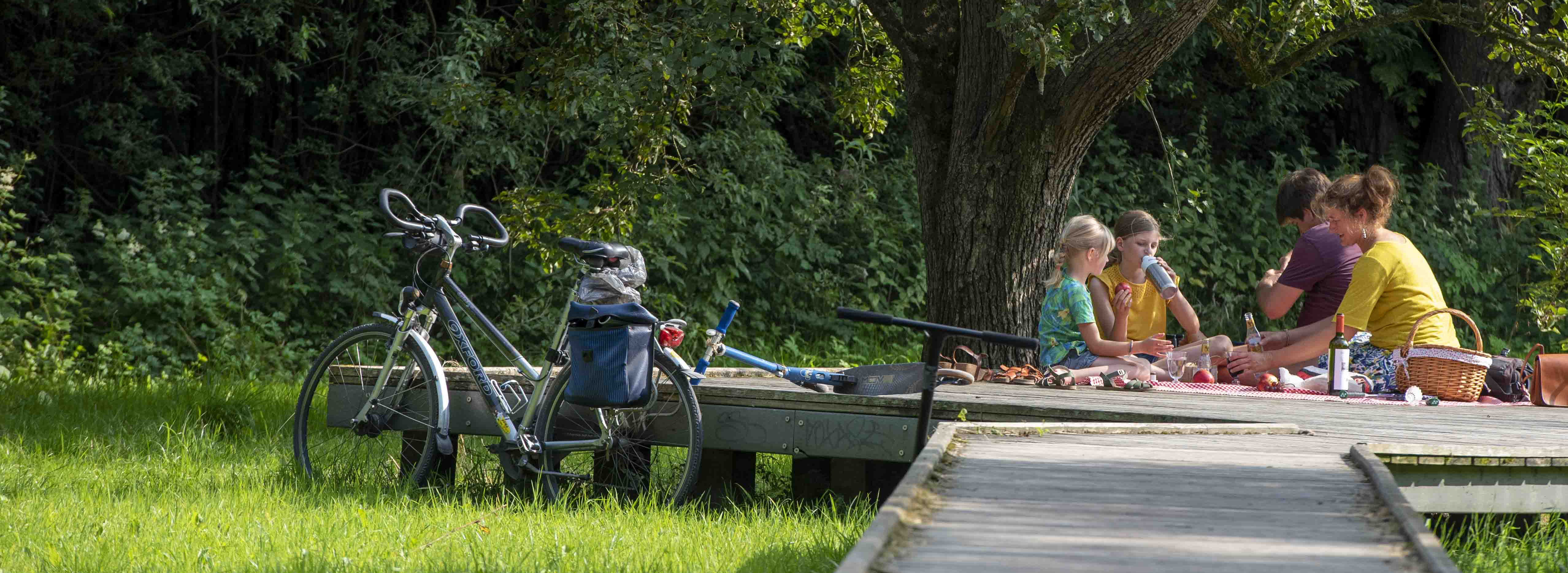 Picknick in Parkbos Gent