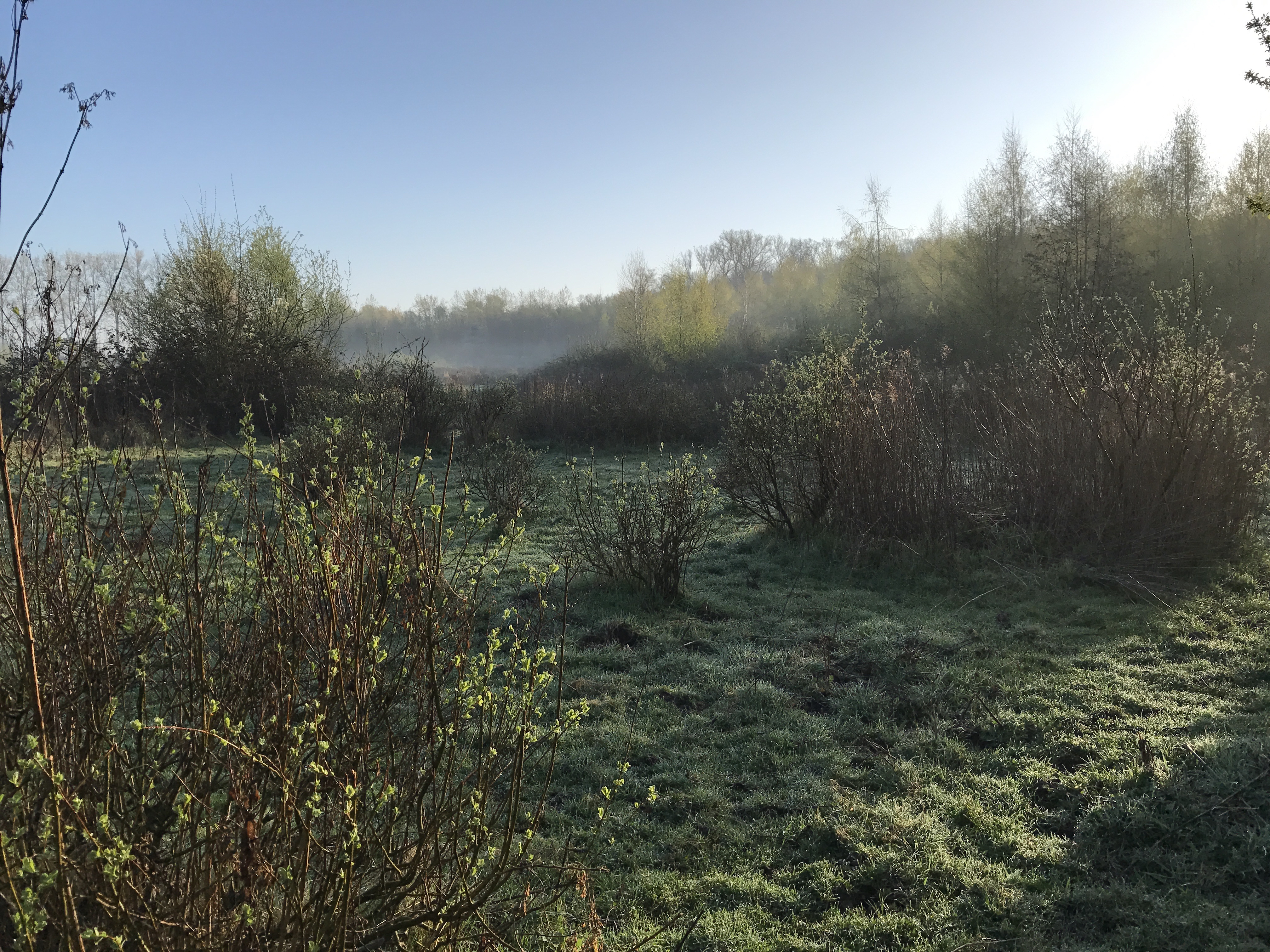 Spontane evolutie wastinevorming in Bos t Ename.