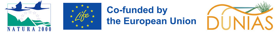 Logobanner