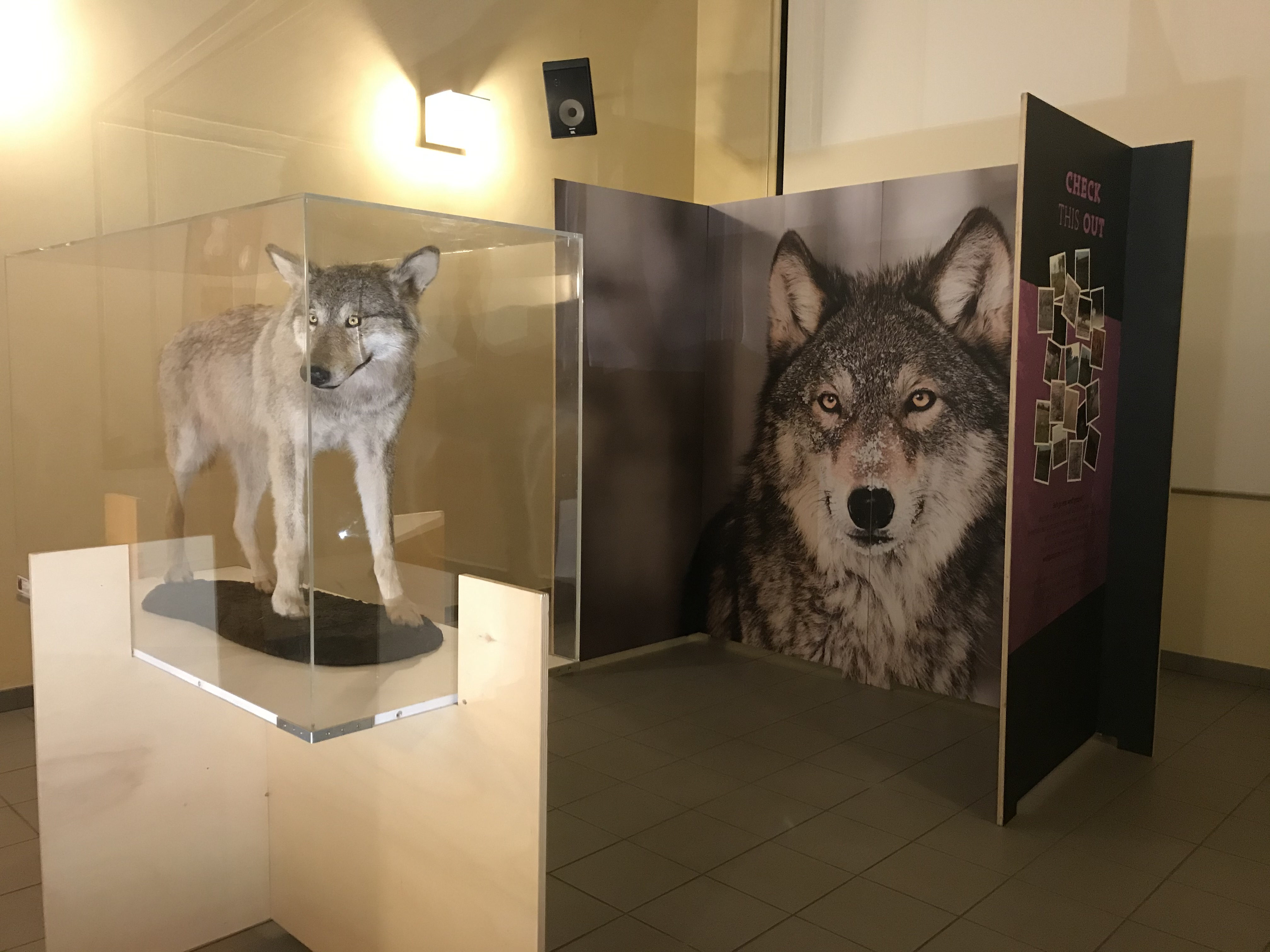 expo@Rosetta Iannicelli