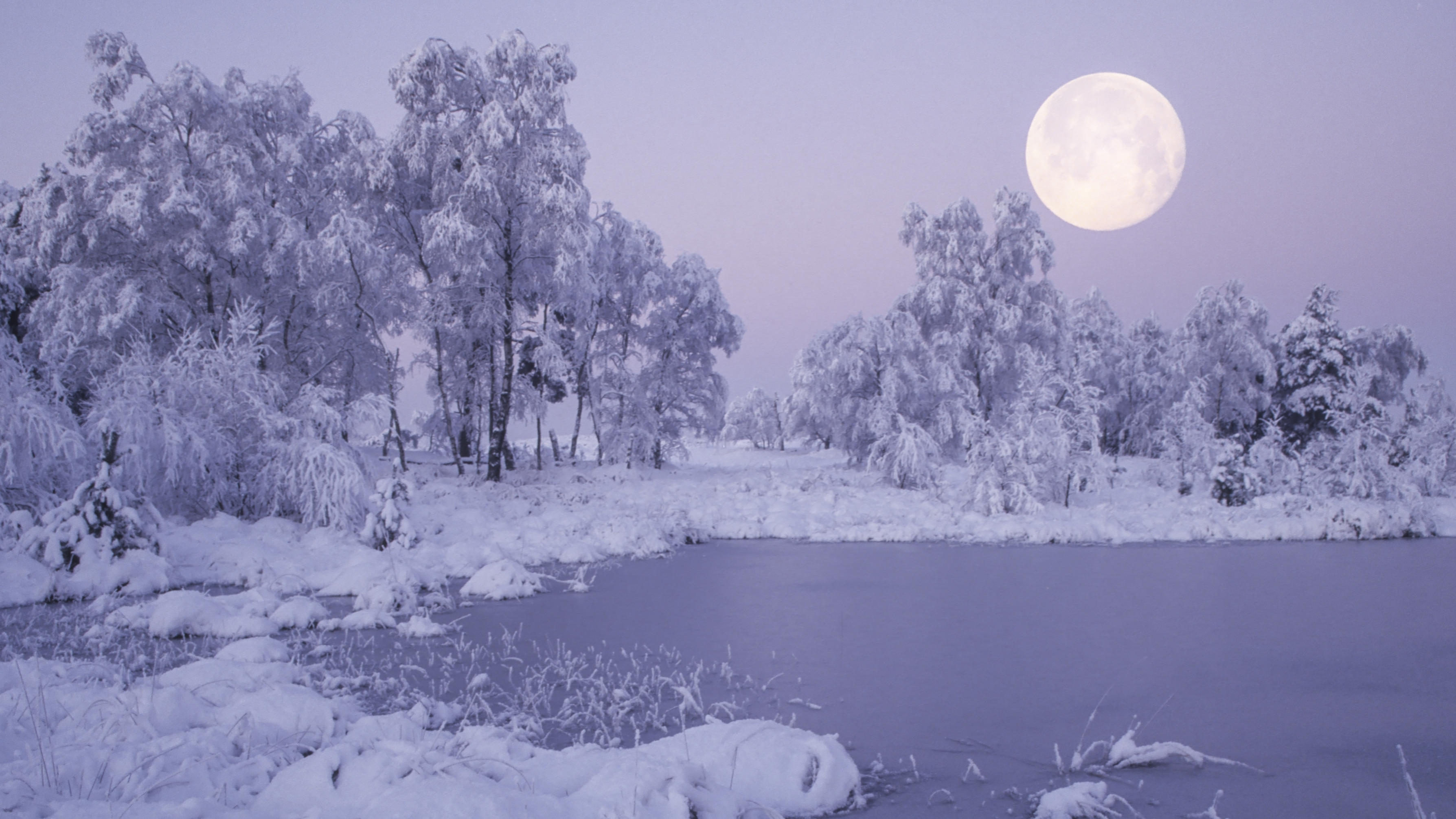 Sneeuwlandschap