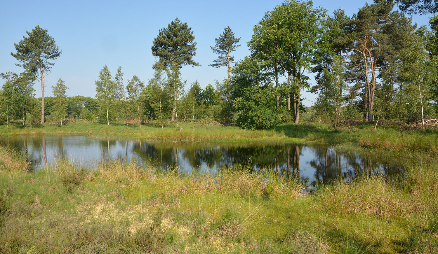 Landschapsbeeld
