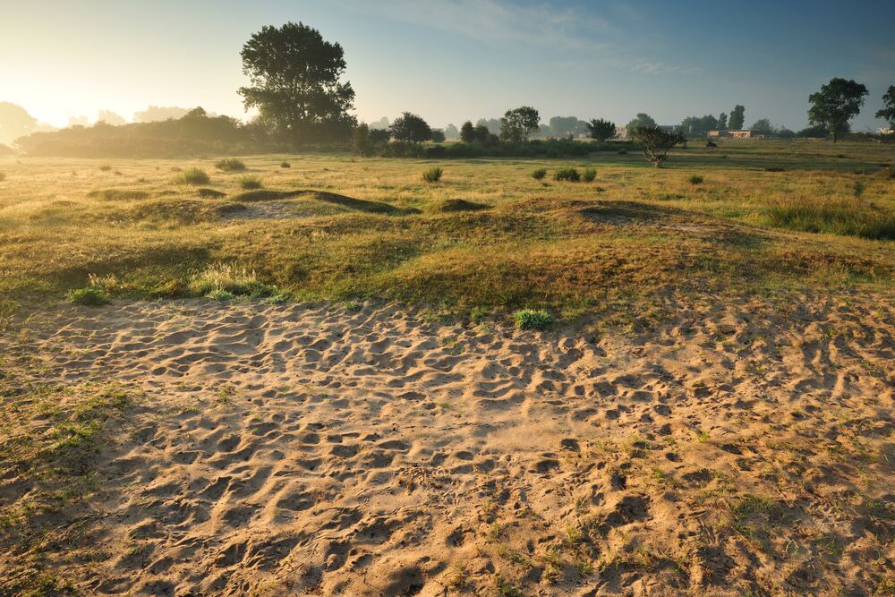duinen d'heye