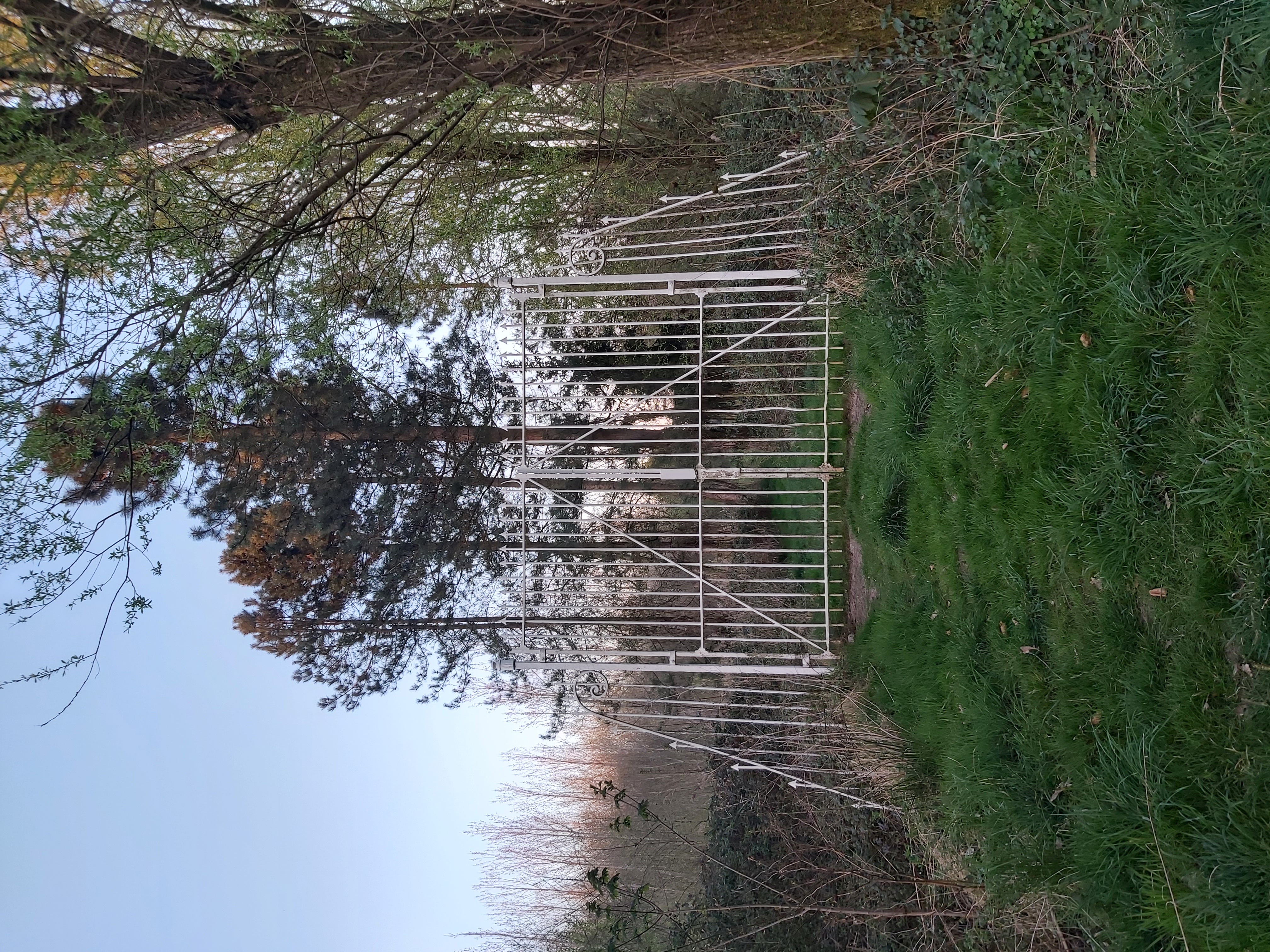 Hingenebroekpolder