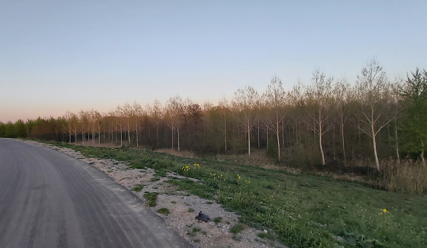 Landschapsbeeld