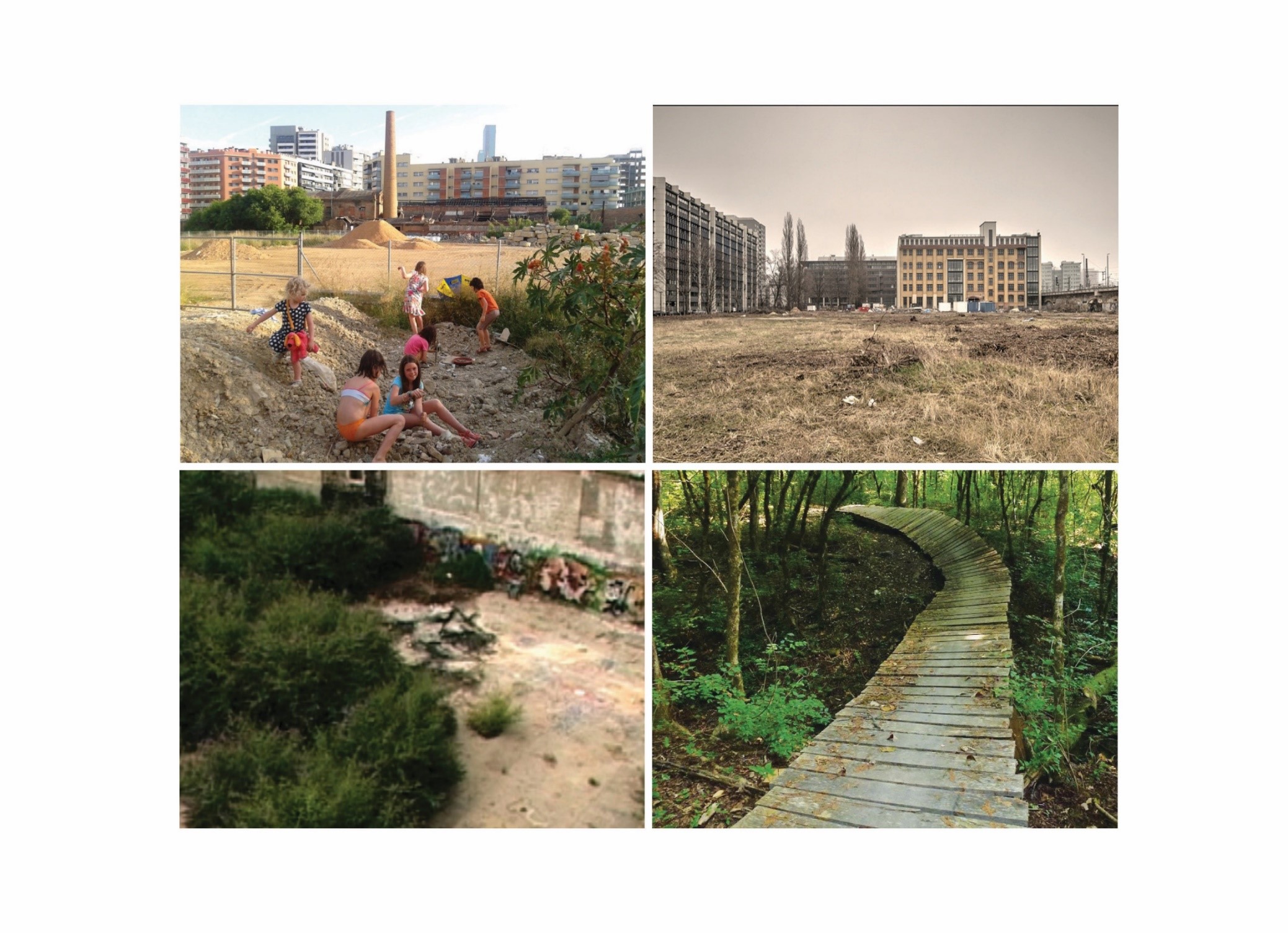 foto's natuurweefselplanning