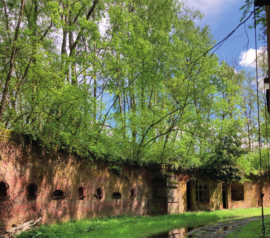 Fort 5 Edegem