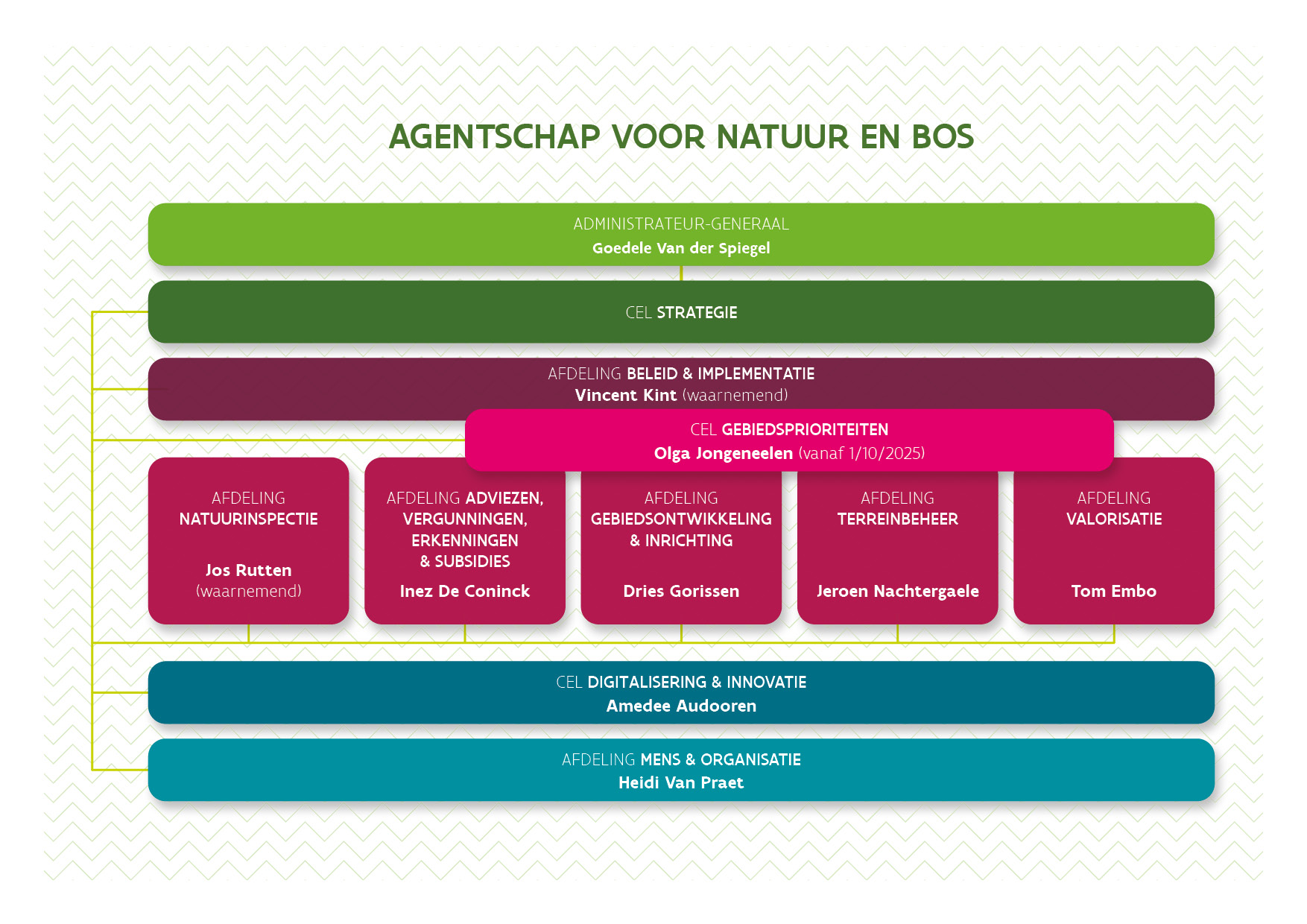 organogram 2025