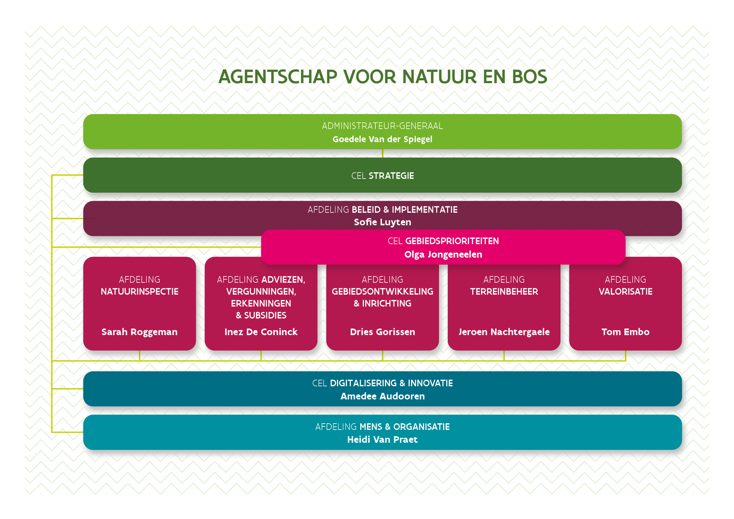 Organogram 2025 compleet