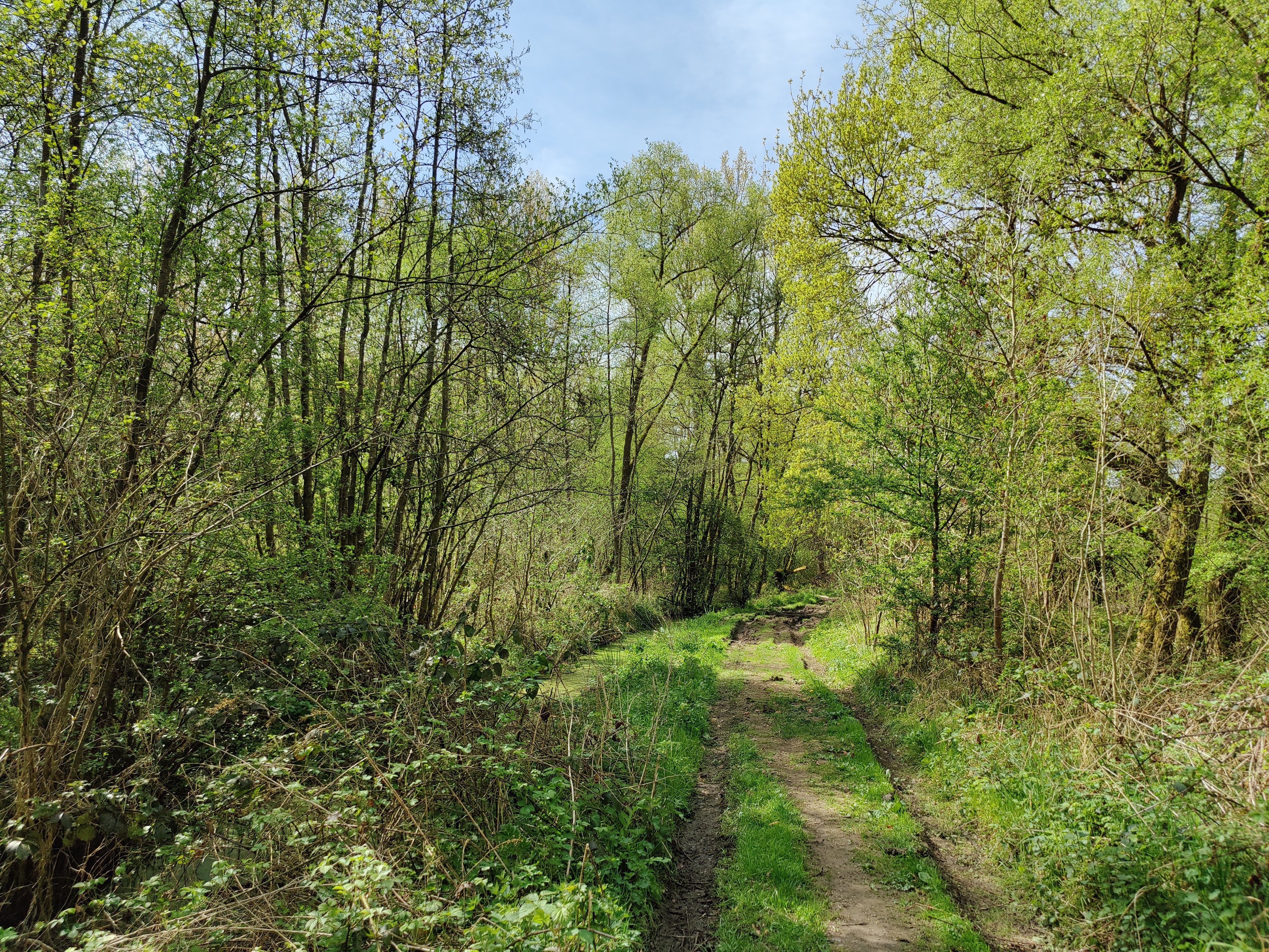 Valleibos