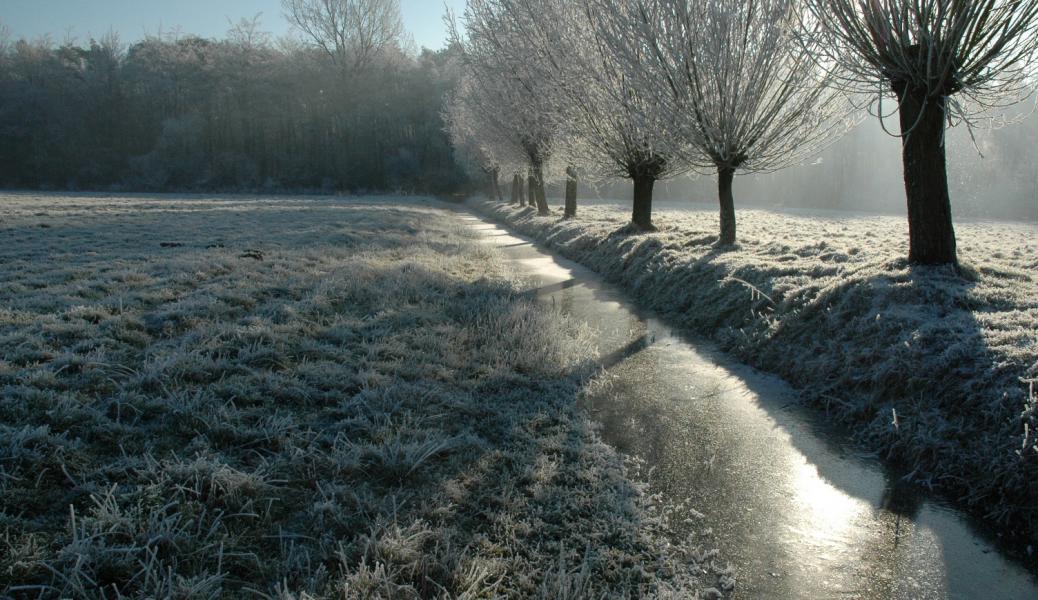 zicht op een winterslandschap