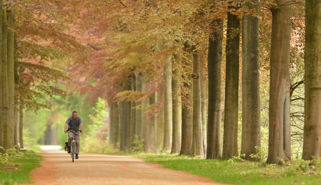 fietser in een dreef