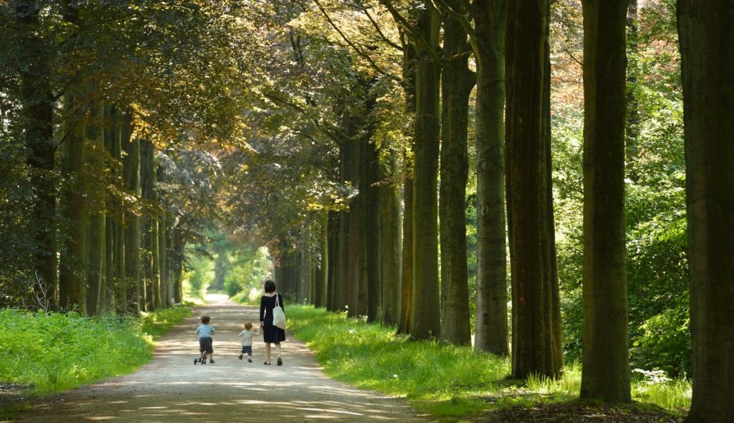 vrouw met kinderen in het bos
