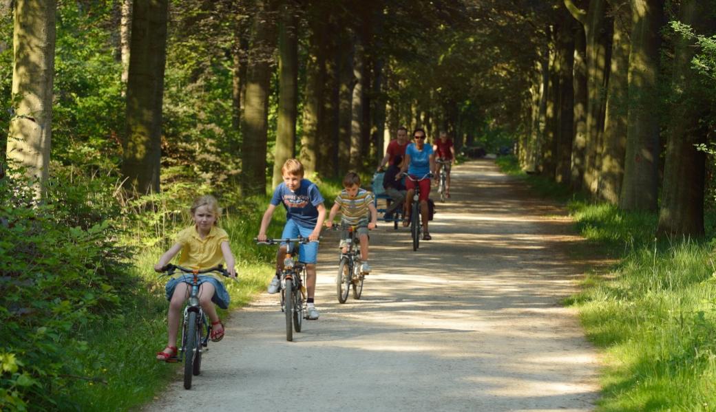 groepje fietsers in het bos