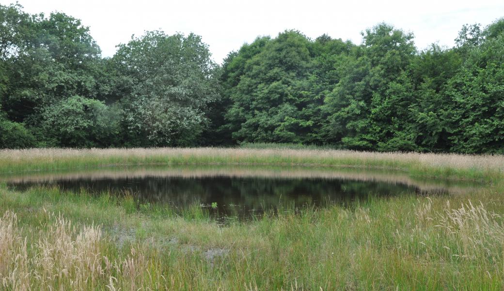 Luysterborg