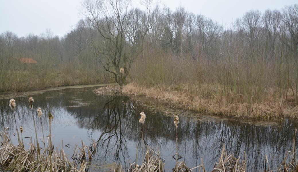 Luysterborg 