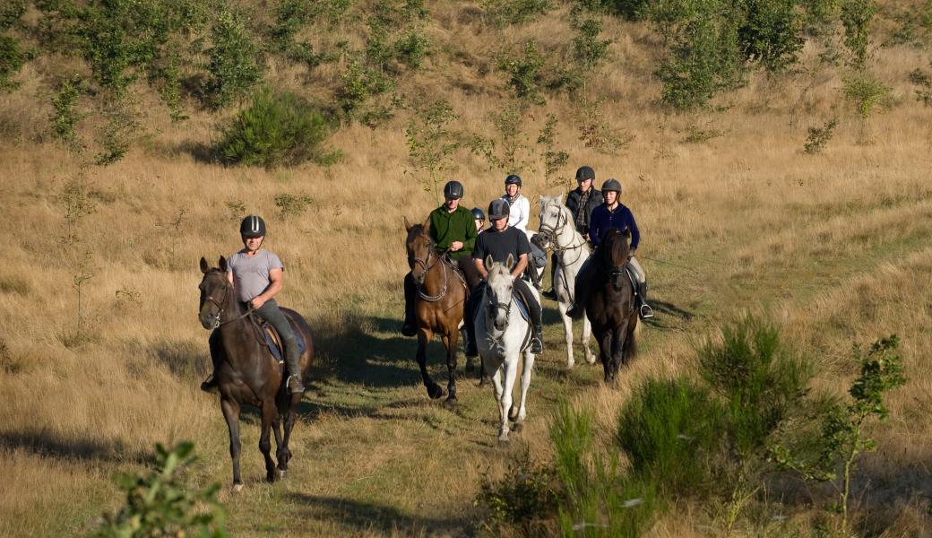 ruiters in het landschap