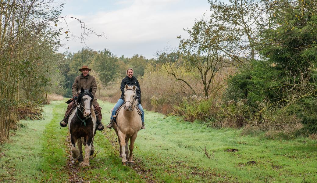 ruiters in de landschap