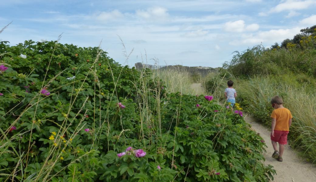 kinderen op het wandelpad tussen de duinen