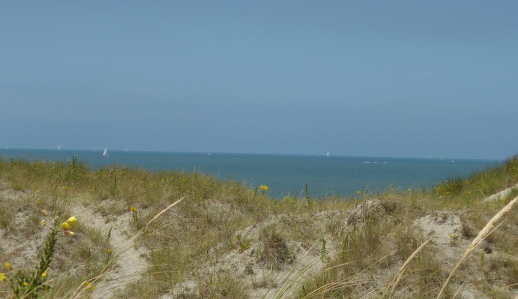 duinen met op de achtergrond zee