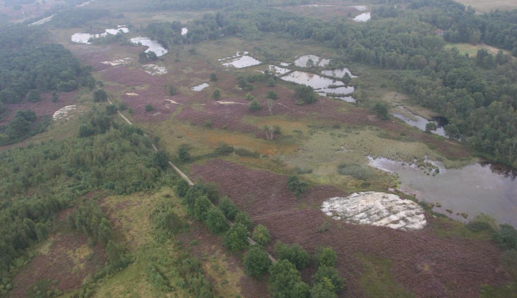 luchtfoto van het domein