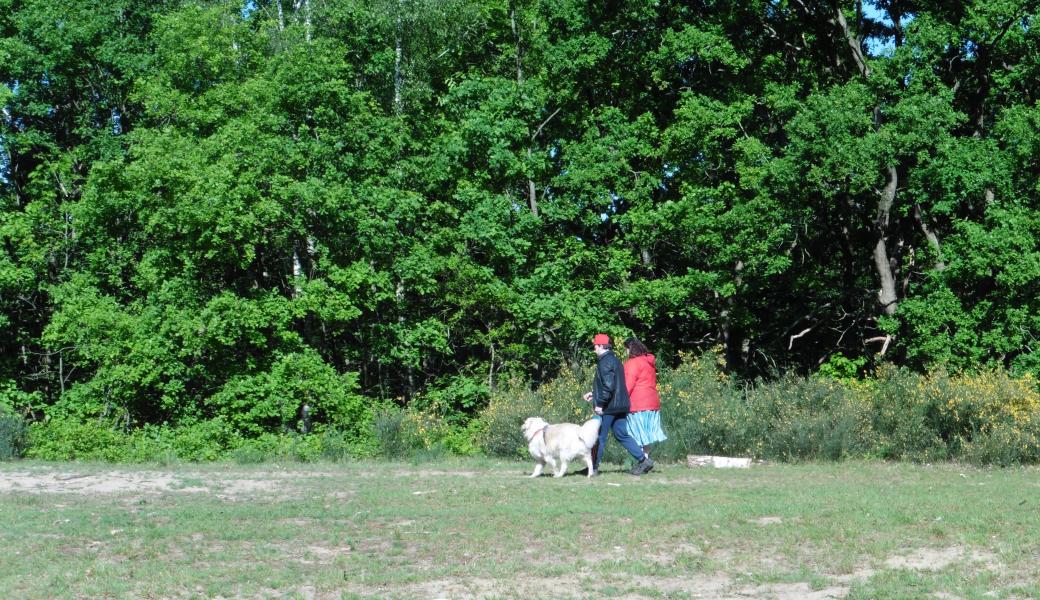 Natuurbeeld zonder beschrijving