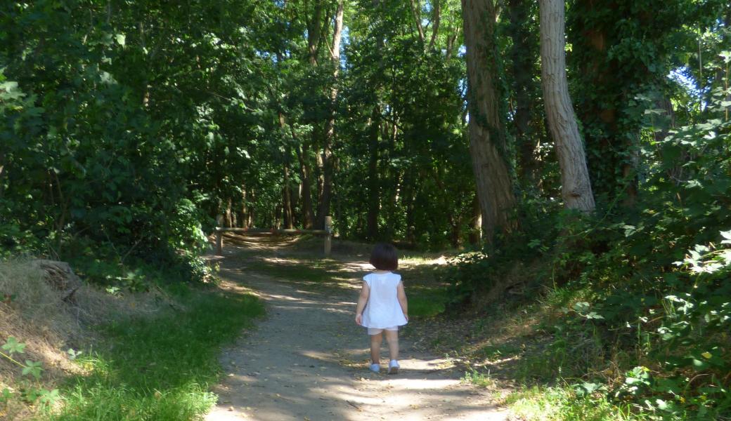 Natuurbeeld zonder beschrijving