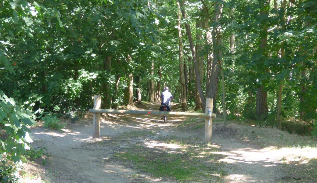 Natuurbeeld zonder beschrijving