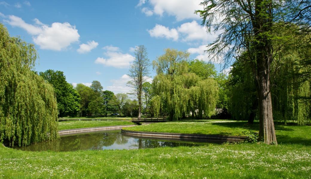 zicht op het water in het park