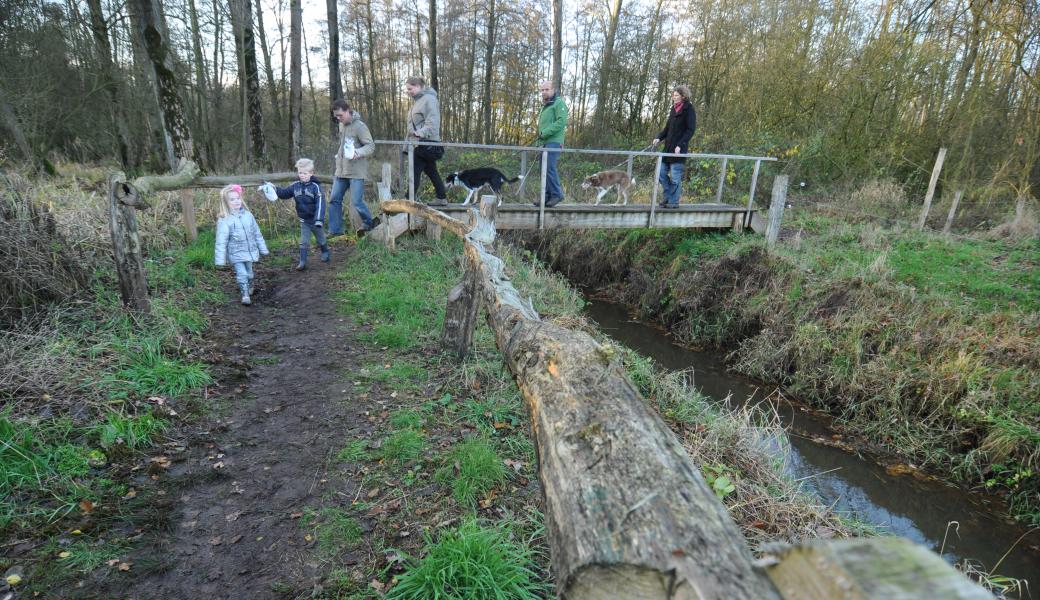 Wandelaars in Elsakker 