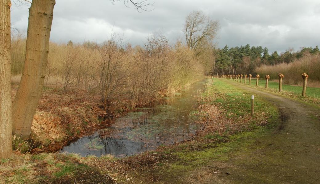 wandelpad in de Elsakker