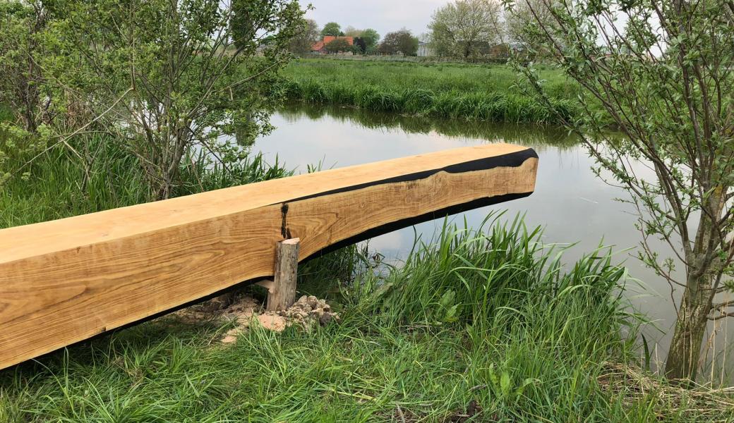 Natuurbeeld zonder beschrijving